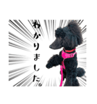 かわいい犬のサリーとライアン（個別スタンプ：5）