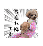 かわいい犬のサリーとライアン（個別スタンプ：12）