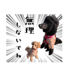 かわいい犬のサリーとライアン（個別スタンプ：15）