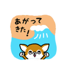 ワンズのワンダフルなサーフィンライフ（個別スタンプ：5）