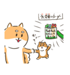 柴犬こまつの日常で使えるかわいいスタンプ（個別スタンプ：32）