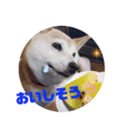 みんなと一緒 8（個別スタンプ：1）