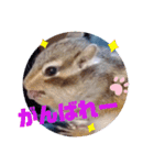 みんなと一緒 8（個別スタンプ：2）