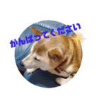 みんなと一緒 8（個別スタンプ：8）