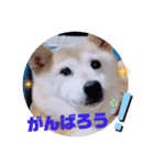 みんなと一緒 8（個別スタンプ：11）