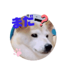 みんなと一緒 8（個別スタンプ：12）