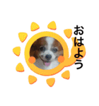 S・family（個別スタンプ：1）
