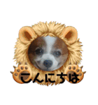 S・family（個別スタンプ：4）