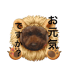 S・family（個別スタンプ：9）