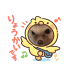 S・family（個別スタンプ：12）