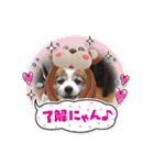 S・family（個別スタンプ：15）