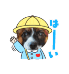 S・family（個別スタンプ：16）