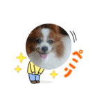 S・family（個別スタンプ：20）
