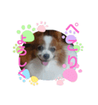 S・family（個別スタンプ：21）