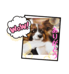 S・family（個別スタンプ：24）