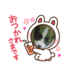 S・family（個別スタンプ：36）
