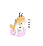 柴犬はるのすけスタンプ（個別スタンプ：15）