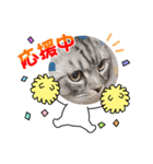 ノアのスた（個別スタンプ：1）