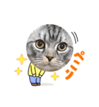 ノアのスた（個別スタンプ：5）