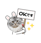ノアのスた（個別スタンプ：8）