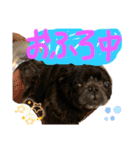 愛しのげん（個別スタンプ：2）
