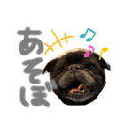 愛しのげん（個別スタンプ：5）