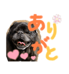 愛しのげん（個別スタンプ：14）