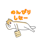 何やら楽しげな猫 パート1（個別スタンプ：10）