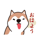 犬のワンザブロウ（個別スタンプ：1）