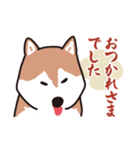 犬のワンザブロウ（個別スタンプ：5）