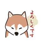 犬のワンザブロウ（個別スタンプ：8）