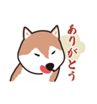 犬のワンザブロウ（個別スタンプ：12）