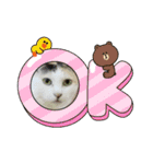 アーユルキャット8（個別スタンプ：7）