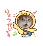アーユルキャット8（個別スタンプ：8）