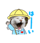 アーユルキャット8（個別スタンプ：11）