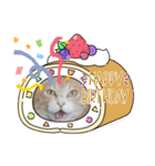 アーユルキャット8（個別スタンプ：16）