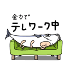 ★★★さかな？（個別スタンプ：11）