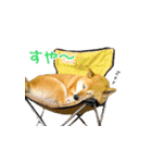 柴犬ゆげの日常 2（個別スタンプ：7）