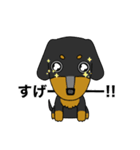 みんな大好きダックス！スタンプ（個別スタンプ：3）