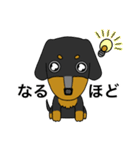 みんな大好きダックス！スタンプ（個別スタンプ：6）