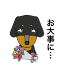 みんな大好きダックス！スタンプ（個別スタンプ：7）