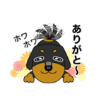 みんな大好きダックス！スタンプ（個別スタンプ：11）
