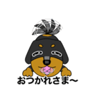 みんな大好きダックス！スタンプ（個別スタンプ：17）