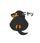 みんな大好きダックス！スタンプ（個別スタンプ：19）