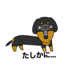 みんな大好きダックス！スタンプ（個別スタンプ：21）