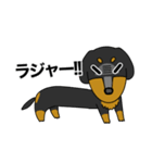 みんな大好きダックス！スタンプ（個別スタンプ：23）
