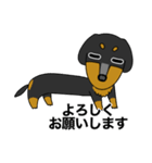 みんな大好きダックス！スタンプ（個別スタンプ：28）