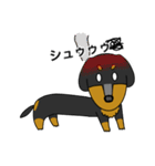 みんな大好きダックス！スタンプ（個別スタンプ：30）