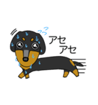 みんな大好きダックス！スタンプ（個別スタンプ：31）