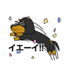 みんな大好きダックス！スタンプ（個別スタンプ：35）